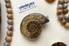 Аммонит, подвеска, К0681, набор 1 шт Аммонит, подвеска, К0681, набор 1 шт