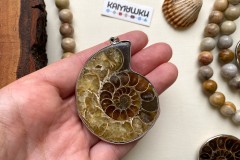 Аммонит, подвеска, К0681, набор 1 шт Аммонит, подвеска, К0681, набор 1 шт