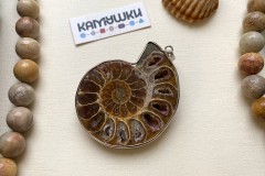 Аммонит, подвеска, К0682, набор 1 шт Аммонит, подвеска, К0682, набор 1 шт