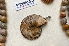 Аммонит, подвеска, К0682, набор 1 шт Аммонит, подвеска, К0682, набор 1 шт