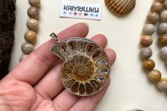 Аммонит, подвеска, К0682, набор 1 шт Аммонит, подвеска, К0682, набор 1 шт