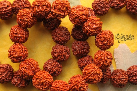 Бусины из рудракши, шар 16-18 мм, набор 3 бусины
