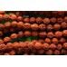 Бусины из рудракши, шар 10 мм, набор 27 бусин