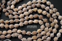 Гипс ("роза пустыни"), кристалл 10-17 мм, набор 9 см