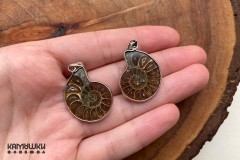 Аммонит, парные подвески, К0776, набор 2 шт Аммонит, парные подвески, К0776, набор 2 шт