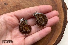 Аммонит, парные подвески, К0777, набор 2 шт
