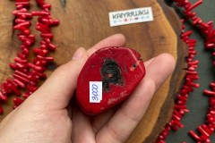 Коллекционный коралл, №К0938 Коллекционный коралл, №К0938