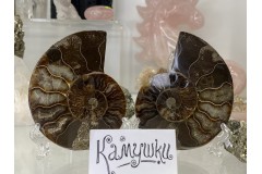 Пара аммонитов №К0157, К0158 Пара аммонитов №К0157, К0158