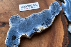 Коллекционный коралл, №К0782