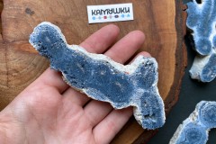 Коллекционный коралл, №К0782