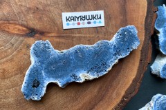 Коллекционный коралл, №К0782