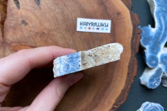 Коллекционный коралл, №К0783