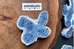 Коллекционный коралл, №К0783