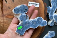 Коллекционный коралл, №К0784