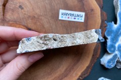 Коллекционный коралл, №К0785