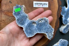 Коллекционный коралл, №К0785