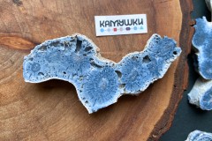 Коллекционный коралл, №К0785