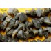 Лабрадор, темные необработанные кусочки, набор 10 см
