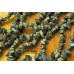 Змеевик, крошка острая, набор 9,5 см Змеевик, крошка острая, набор 9,5 см