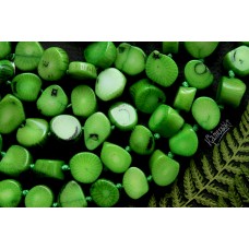 Коралл тонированный, цвет светло- зеленый, монетки, набор 10 бусин