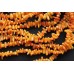 Коралл оранжевый, палочки разного размера, набор 10 см