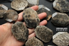 Коралл окаменелый "кружевной", плоская граненая капля 36х50 мм, набор 2 бусины
