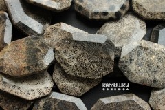 Коралл окаменелый "кружевной", плоская граненая капля 36х50 мм, набор 2 бусины