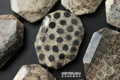 Коралл окаменелый "кружевной", плоская граненая капля 36х50 мм, набор 2 бусины Коралл окаменелый "кружевной", плоская граненая капля 36х50 мм, набор 2 бусины