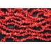 Коралл кораллово-красный, палочки разной длины, набор 9,5 см