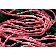 Коралл лососево-розовый, рис 3х9 мм, набор 11 бусин