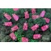 Подвеска "мишка", ярко-розовый, пластик, 2 см, серебристый штифт, 1 шт. 
